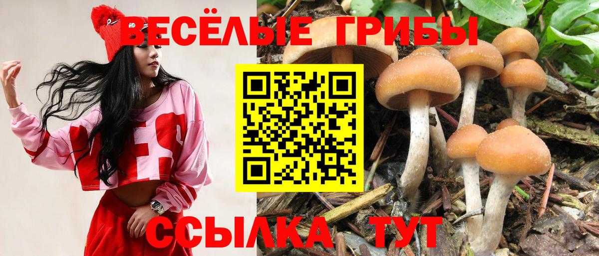 Галлюциногенные грибы ЛСД  Псилоцибиновые грибы Cubensis  Фролово  Вход с VPN 